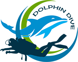 Dolphin Dive Murudeshwar logo