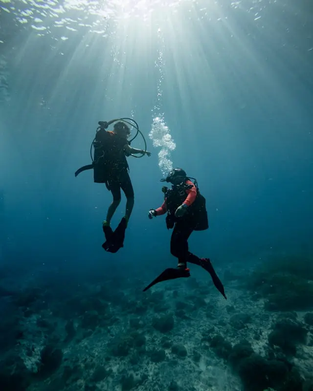 Two scuba divers in sunlit water above the reef